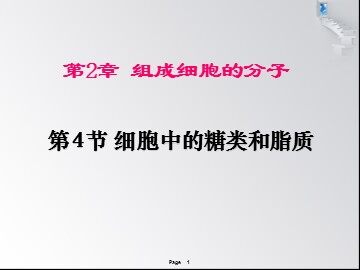第4节  细胞中的糖类和脂质