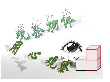 观察物体（三）_课件1
