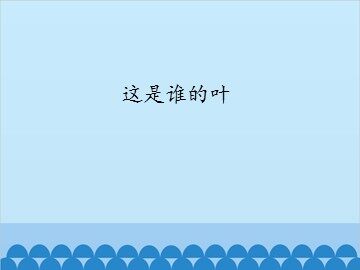 这是谁的叶_课件1