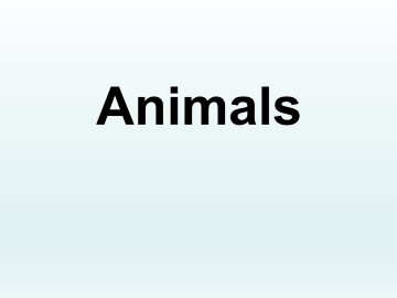 Animals_课件1