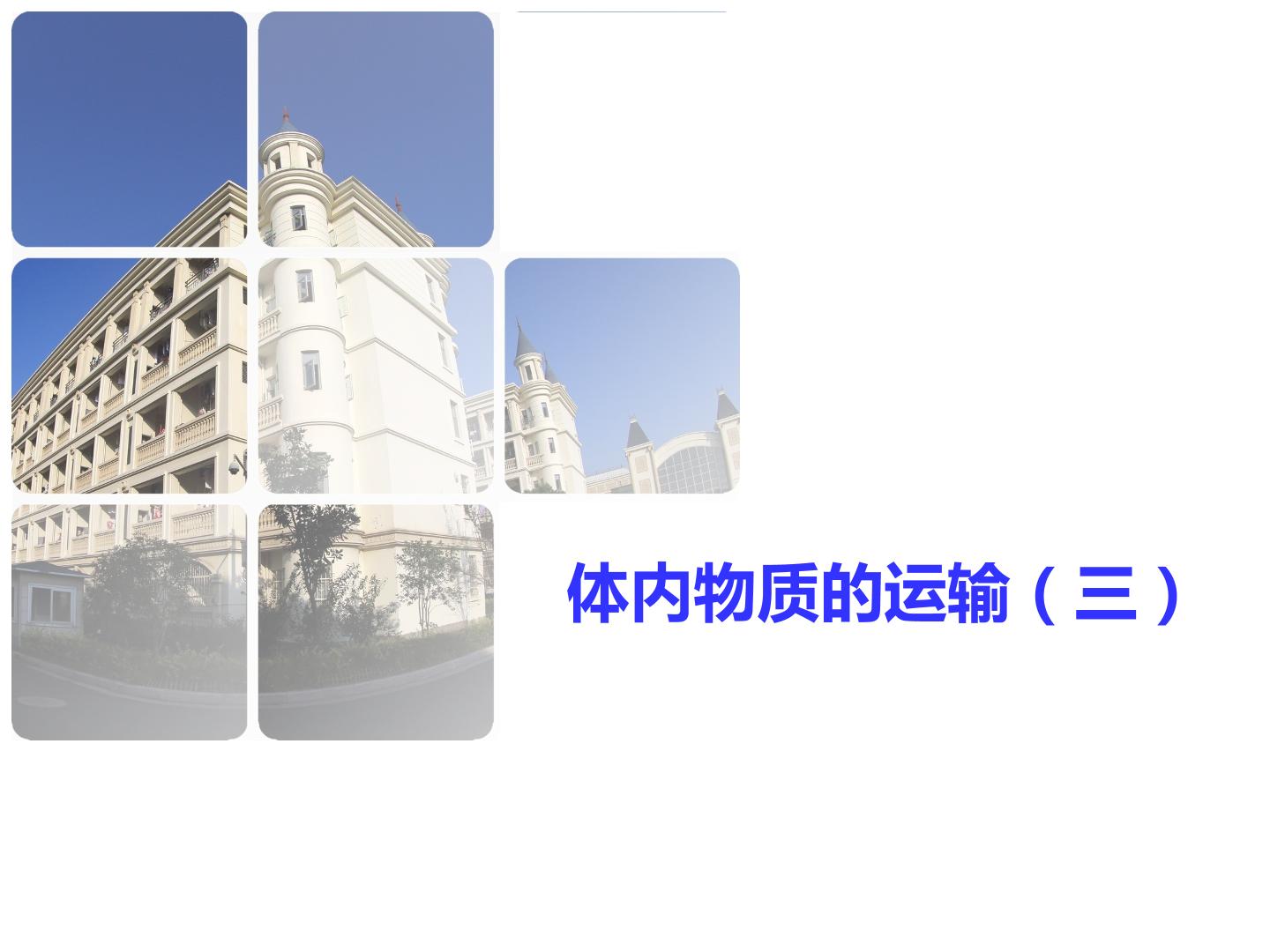 体内物质的运输（三）