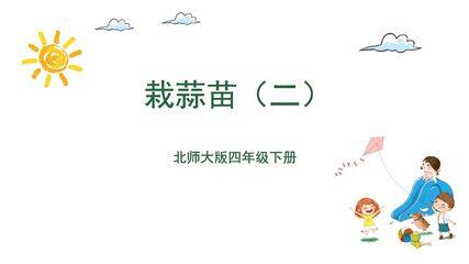 【★★】4年级数学北师大版下册课件第六单元《栽蒜苗(二)》