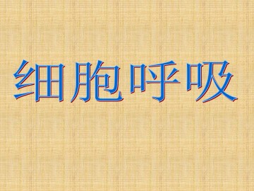 细胞呼吸_课件1