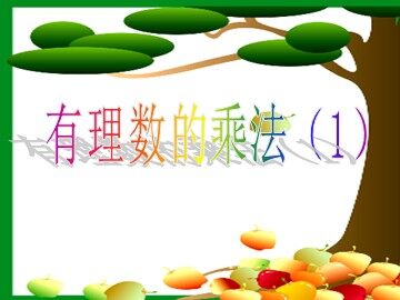 有理数的乘法(1)