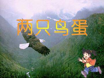 两只鸟蛋_课件1
