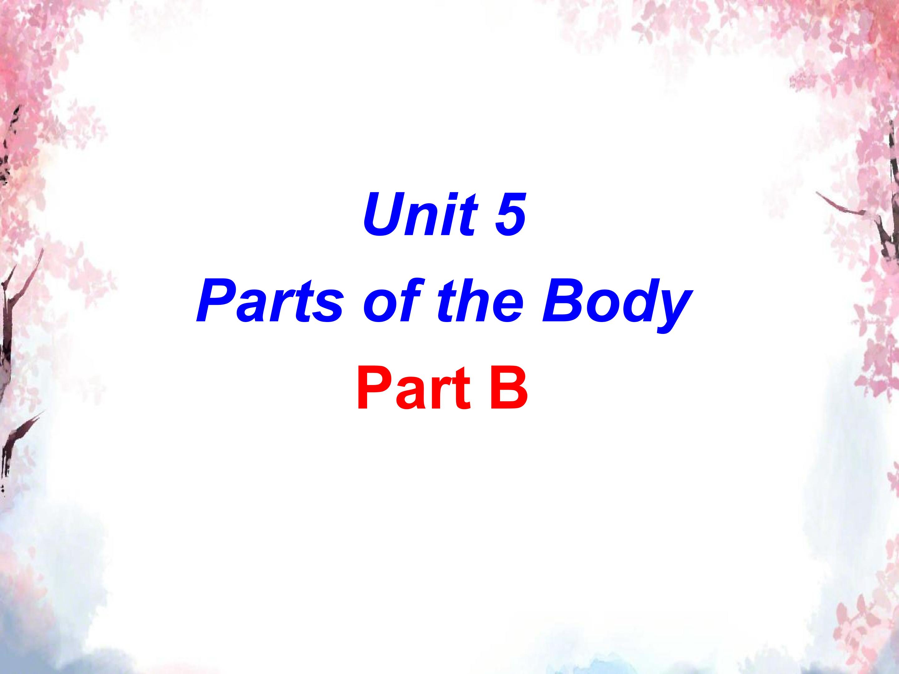 Unit 5  Parts of the Body  Part B