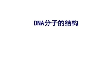 DNA分子的结构_课件1