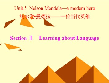 Nelson Mandela - a modern hero_课件20