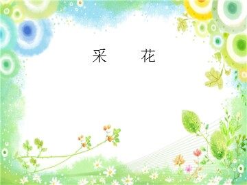 采花_课件1