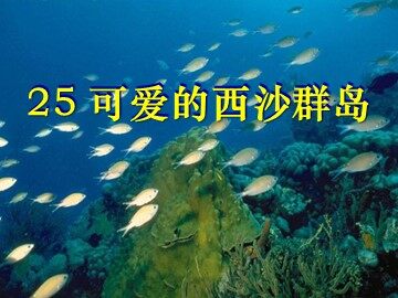 22 富饶的西沙群岛