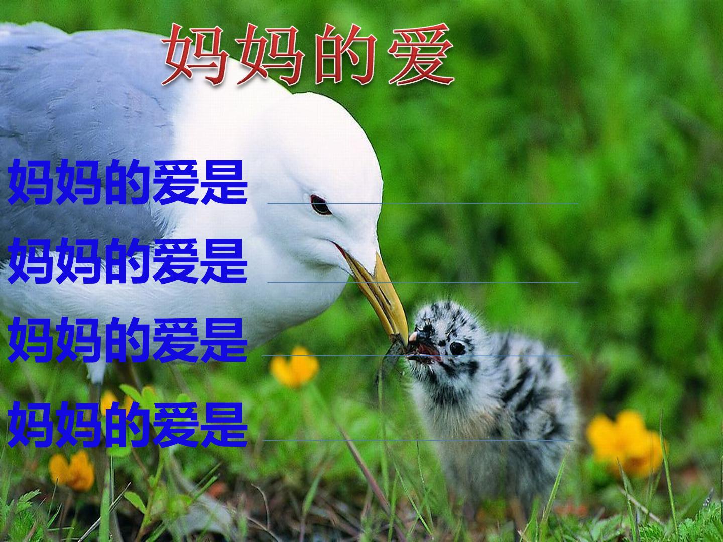 66.jpg