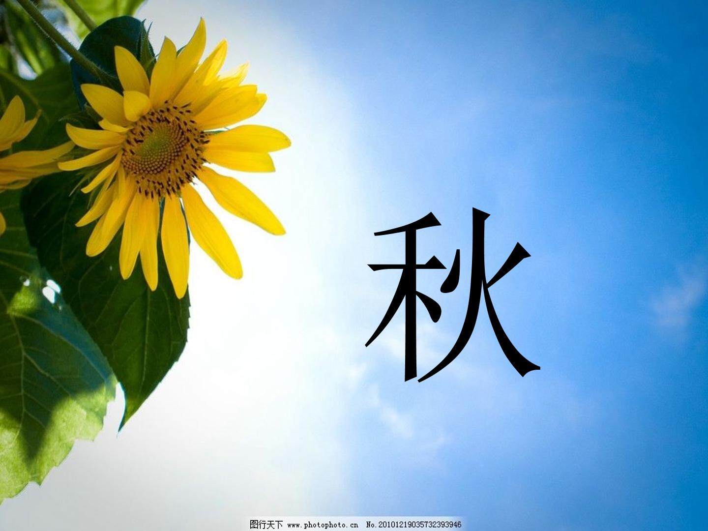 秋