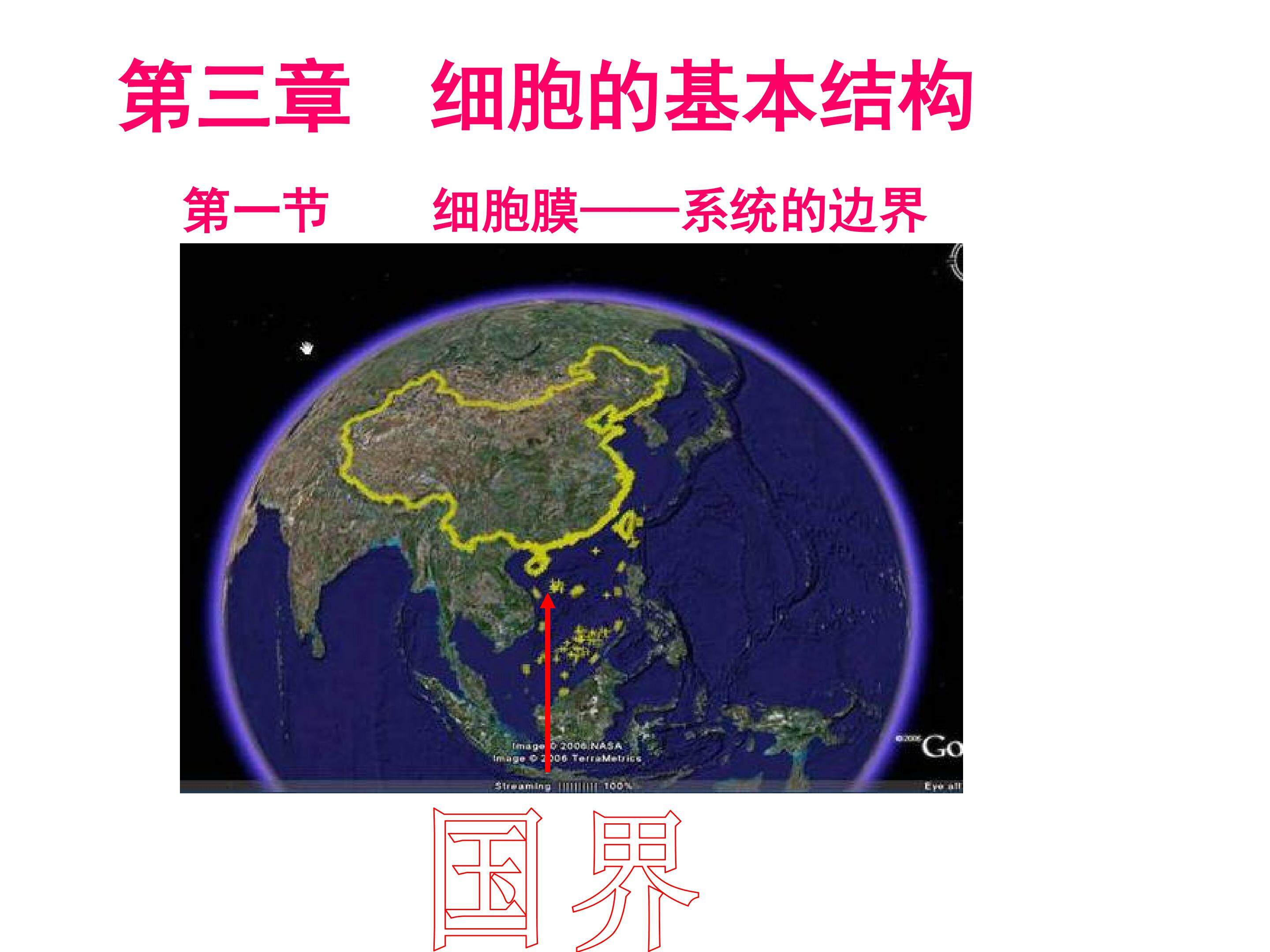 第一节    细胞膜----系统的边界