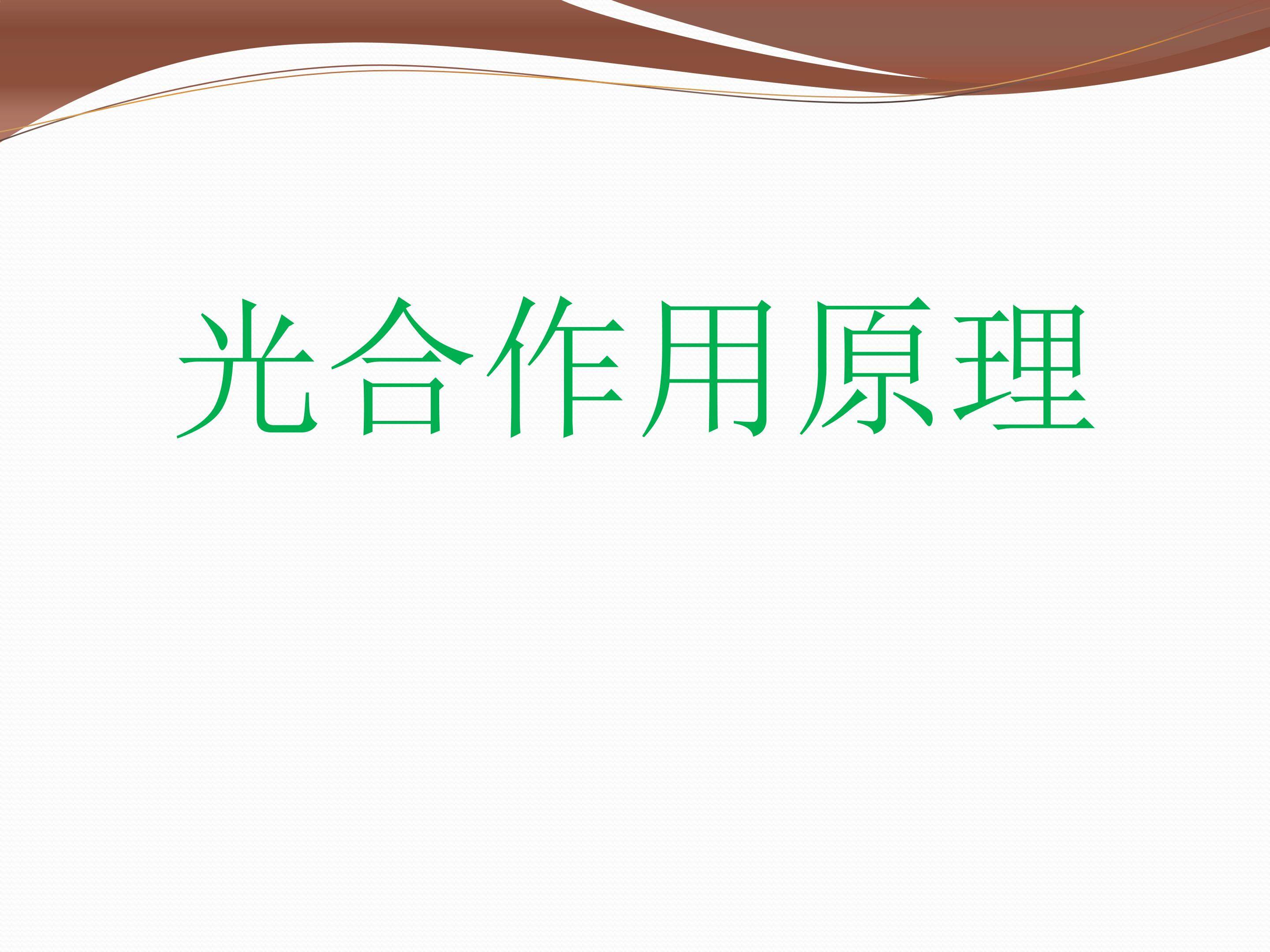 光合作用原理