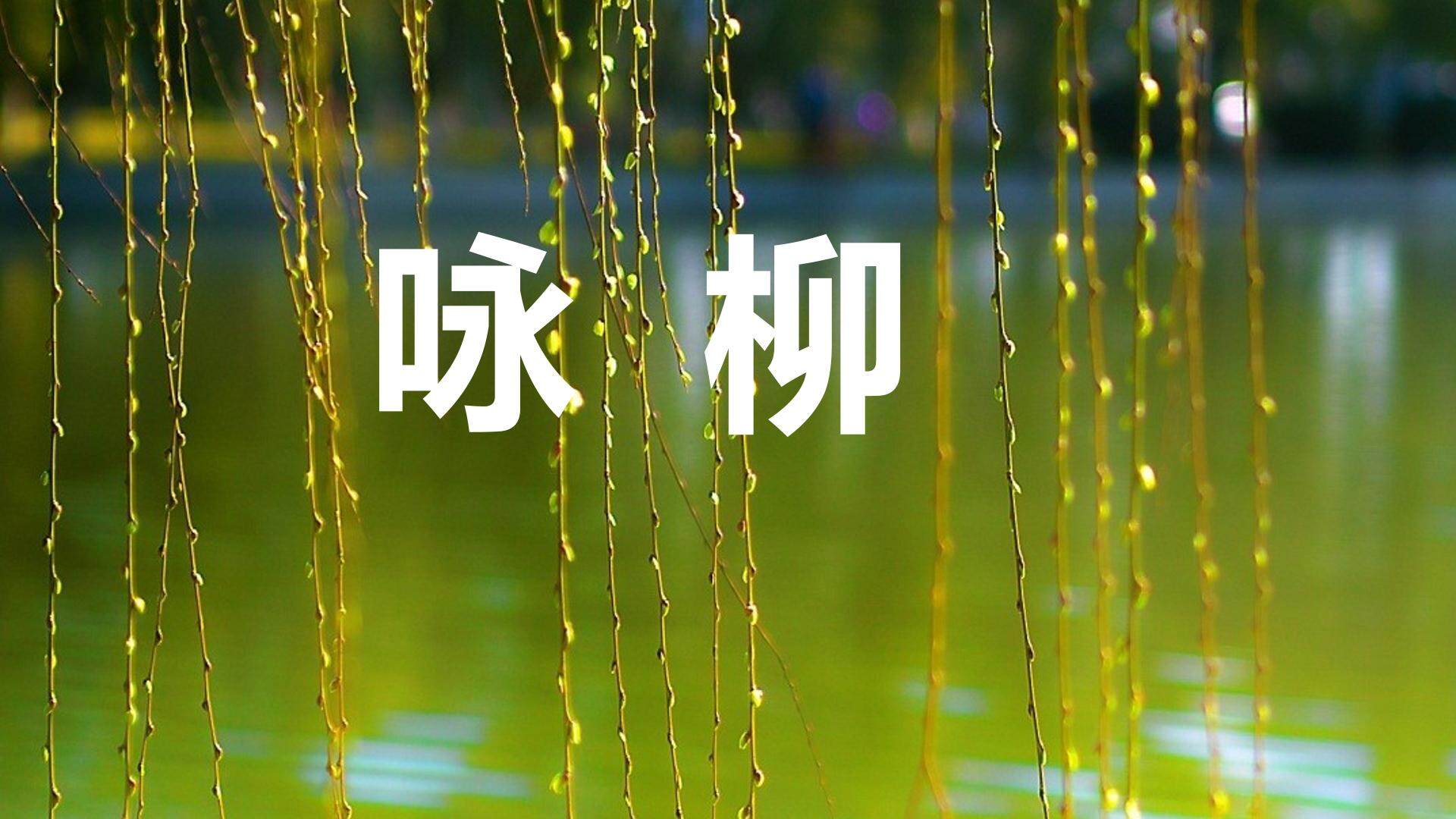 咏柳