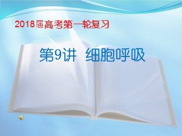 第3节  ATP的主要来源——细胞呼吸