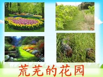 荒芜的花园_课件1