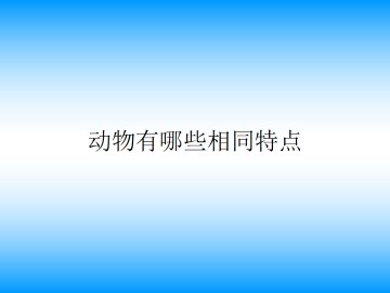 动物有哪些相同特点_课件1