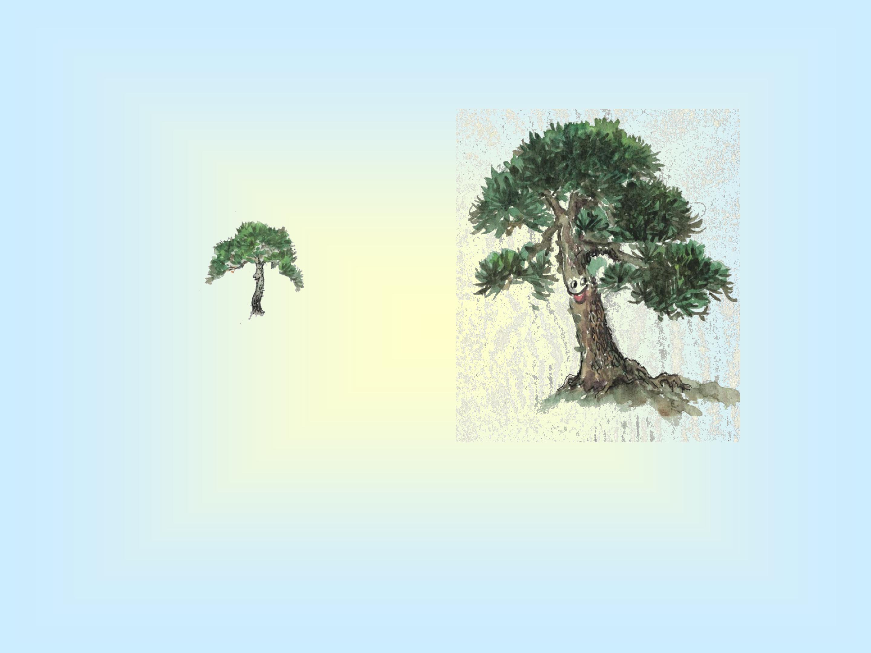 小松树和大松树