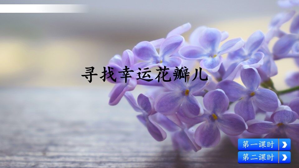 寻找幸运花瓣