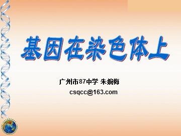生物高中必修2第二章第二节课件3
