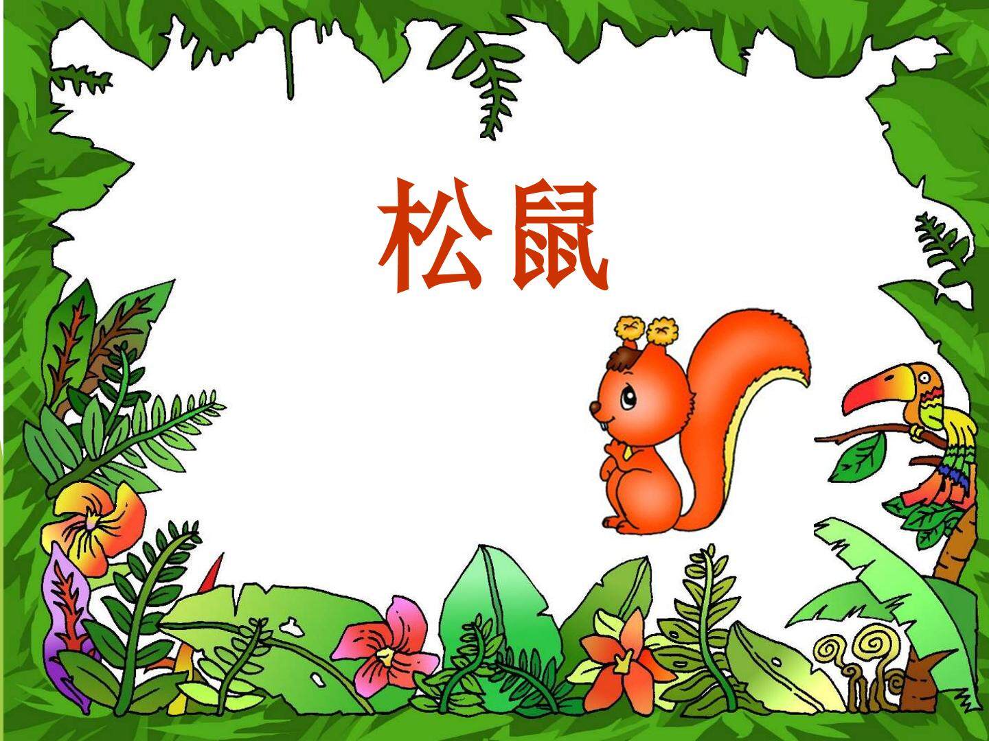 10* 松鼠
