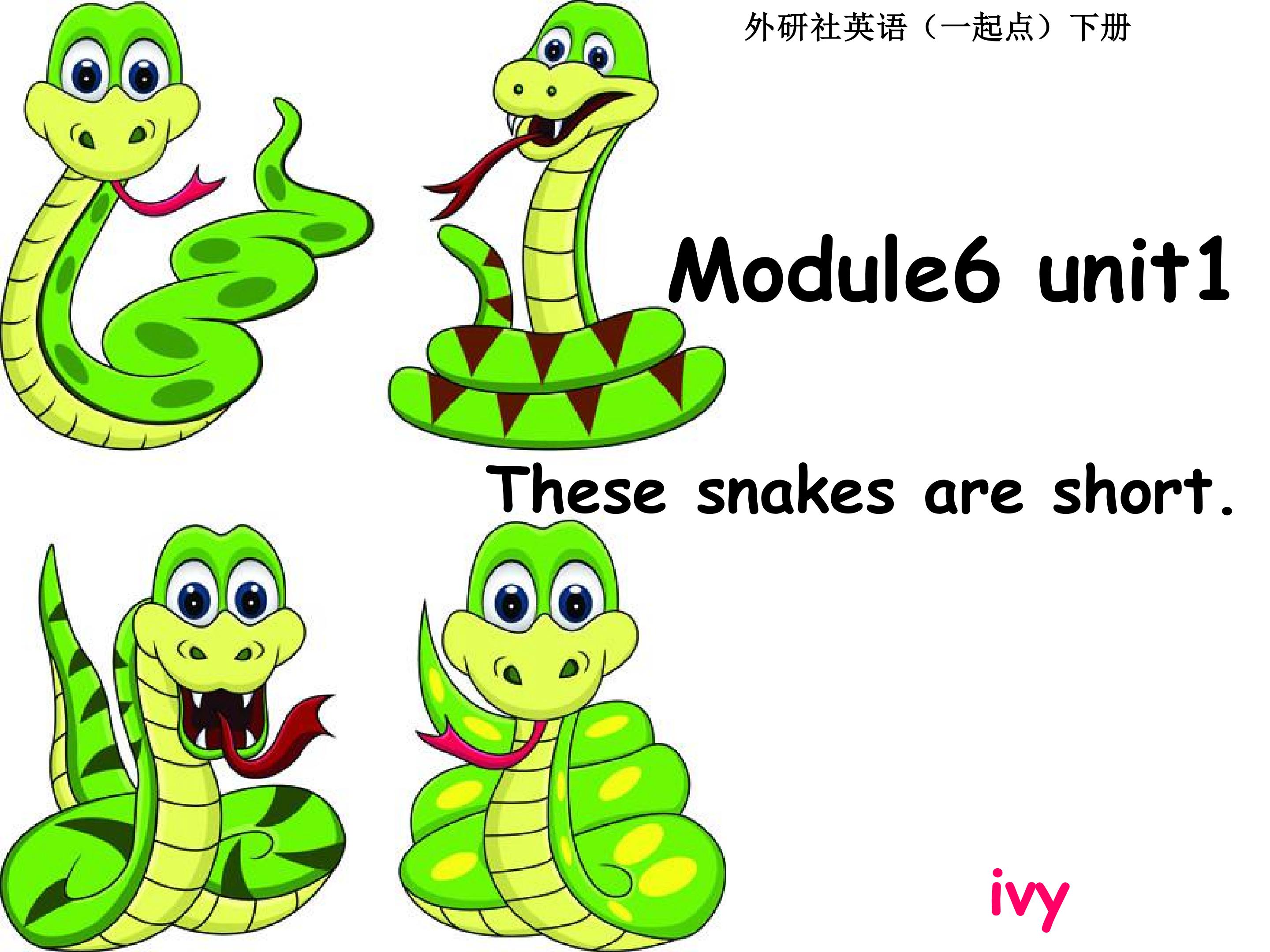 Module6 Unit1 These snakes are short