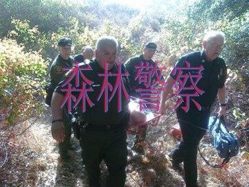 森林警察_课件1