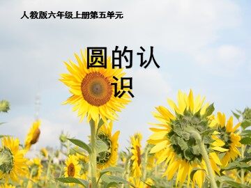 1. 圆的认识