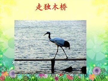 走独木桥_课件1