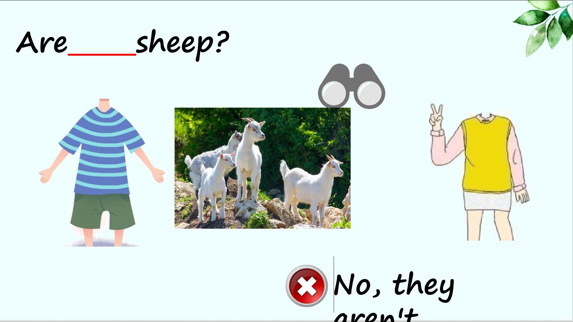 29.jpg
