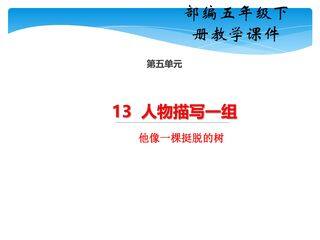 【★★★】五年级下册语文部编版课件第13课《人物描写一组·他像一棵挺脱的树》