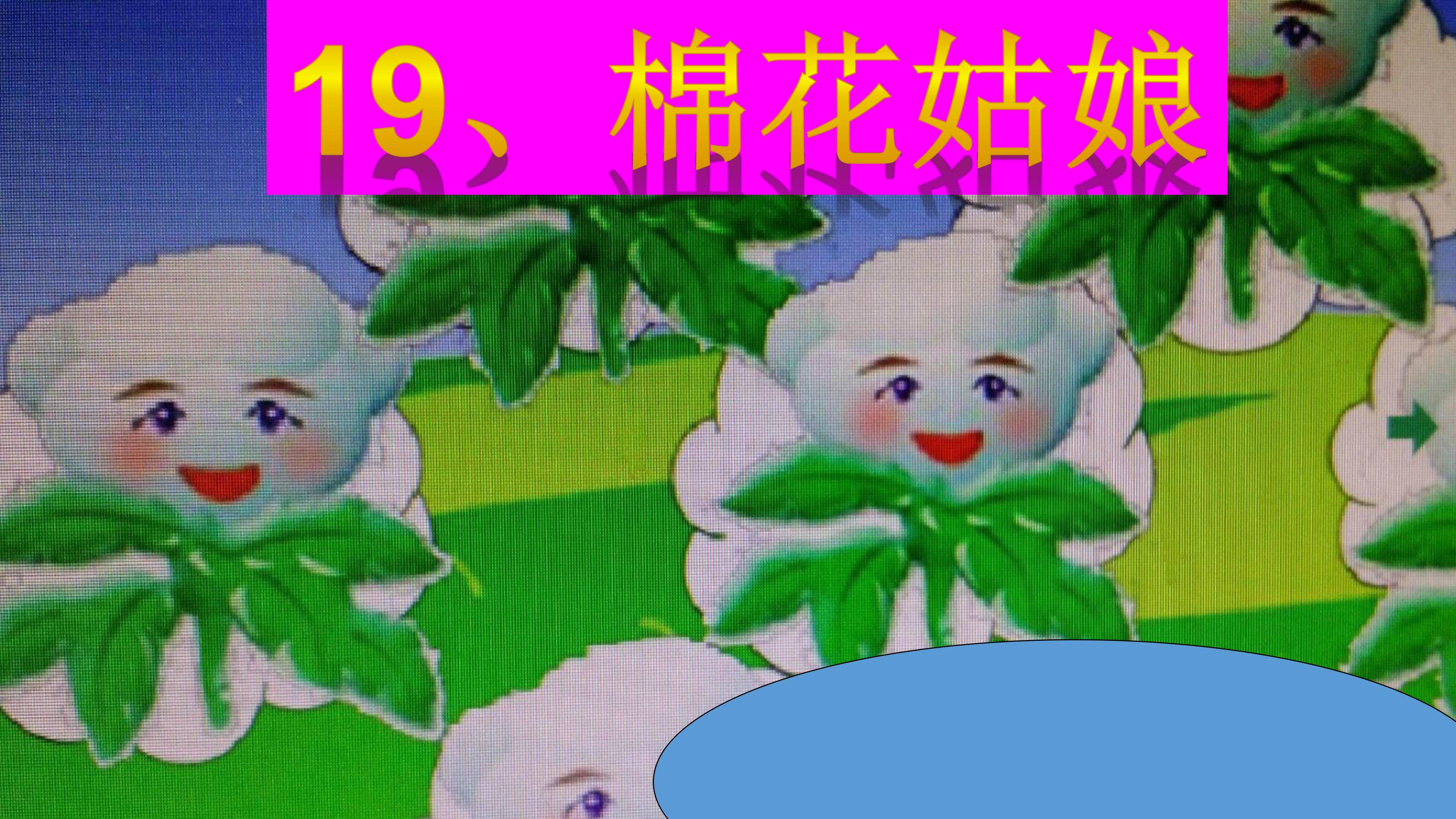 棉花姑娘