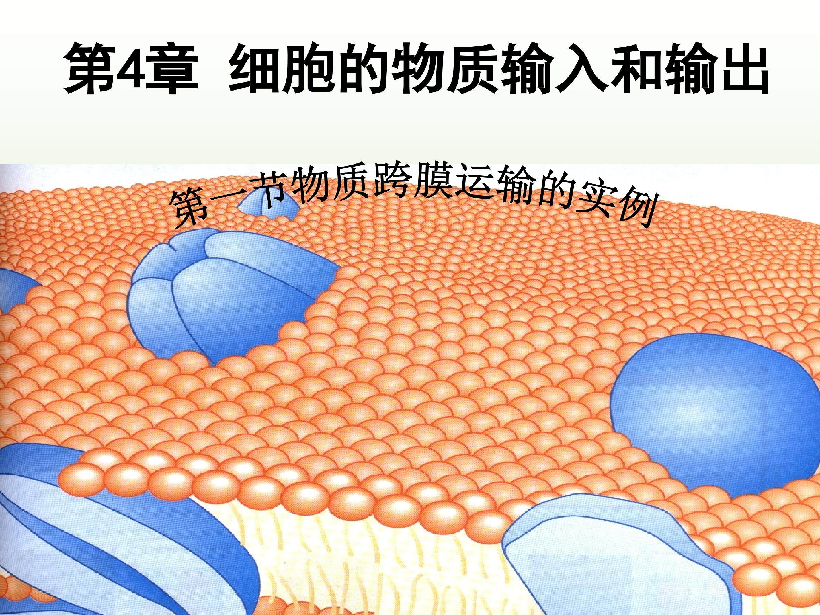 物质跨膜运输的实例