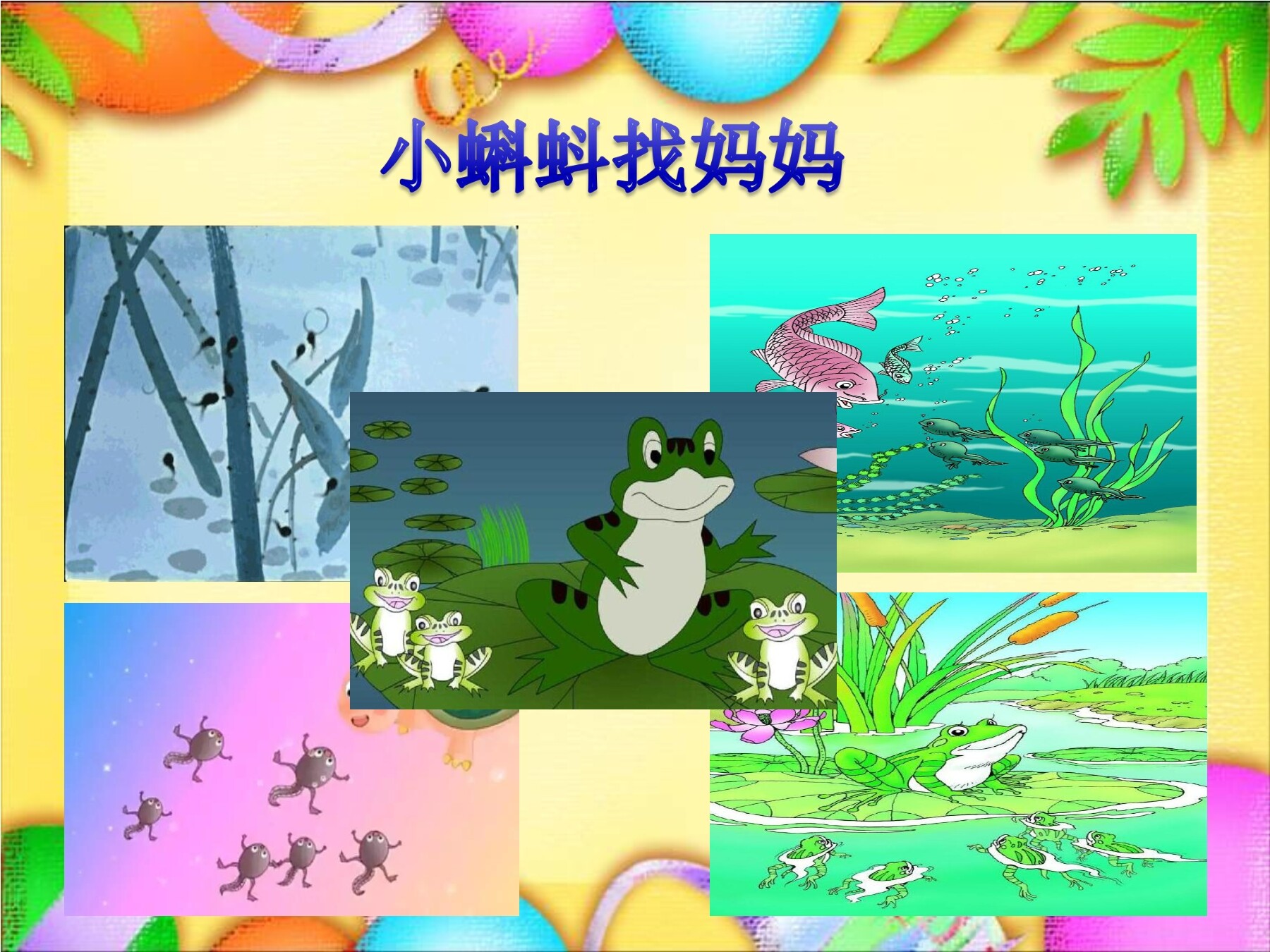动物儿歌