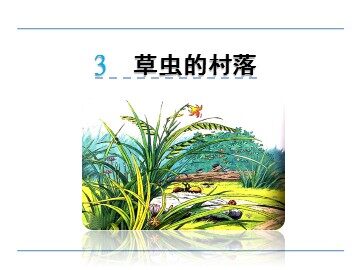 12  草虫的村落