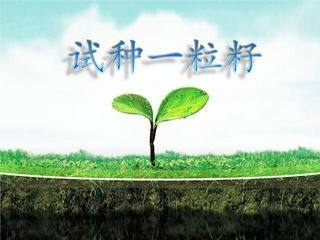 【★】2年级下册道德与法治部编版课件第一单元 4 试种一粒籽