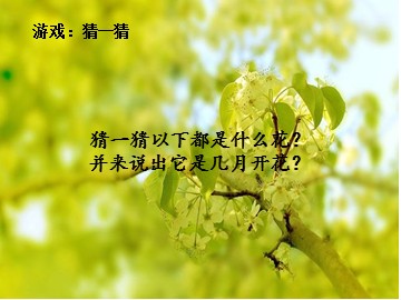 采花