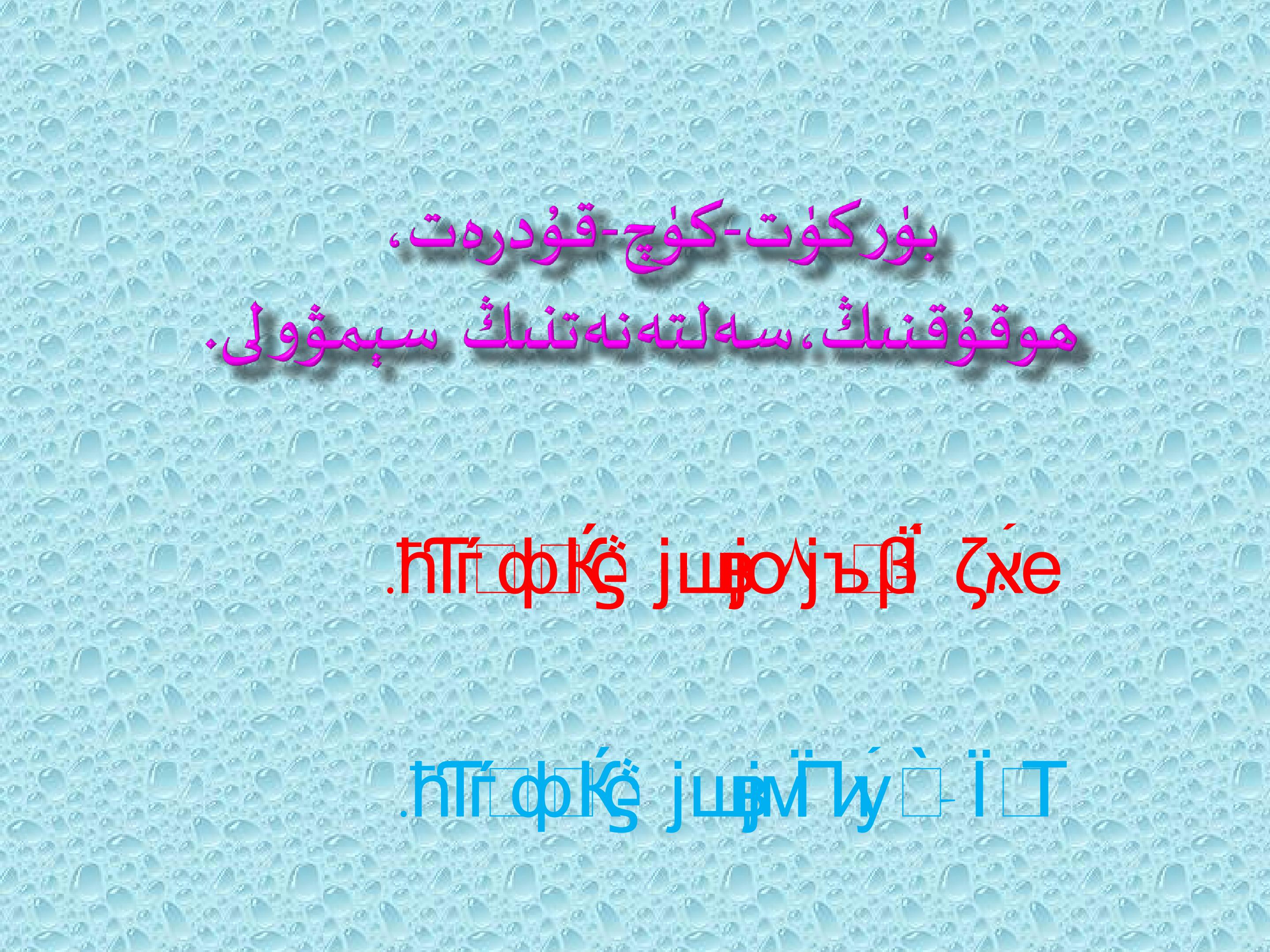 15.jpg