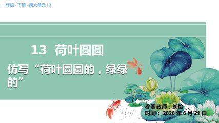 13.荷叶圆圆(示范课例)