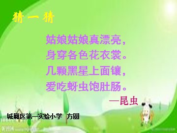 瓢虫的花衣裳
