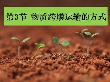 科学前沿  授予诺贝尔化学奖的通道蛋白研究