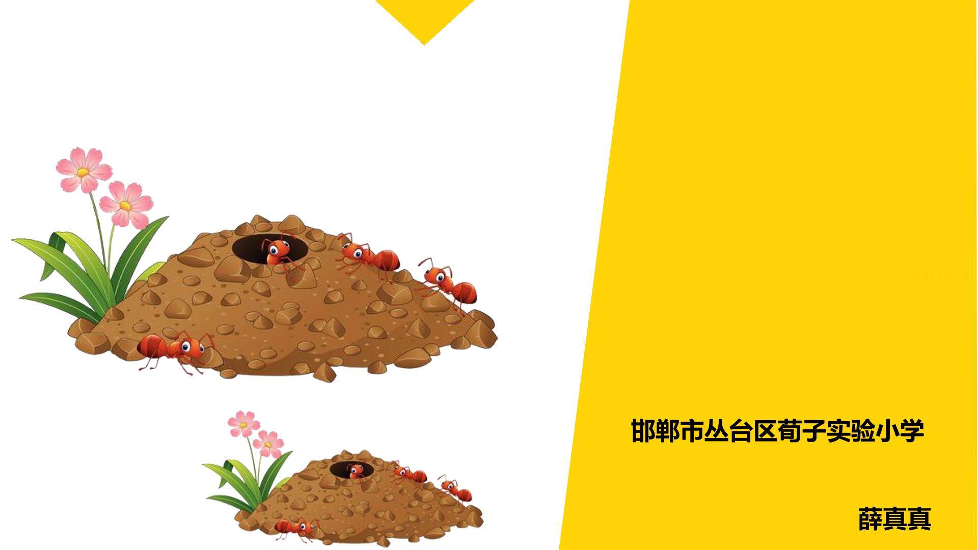 《小蚂蚁搬家》PPT