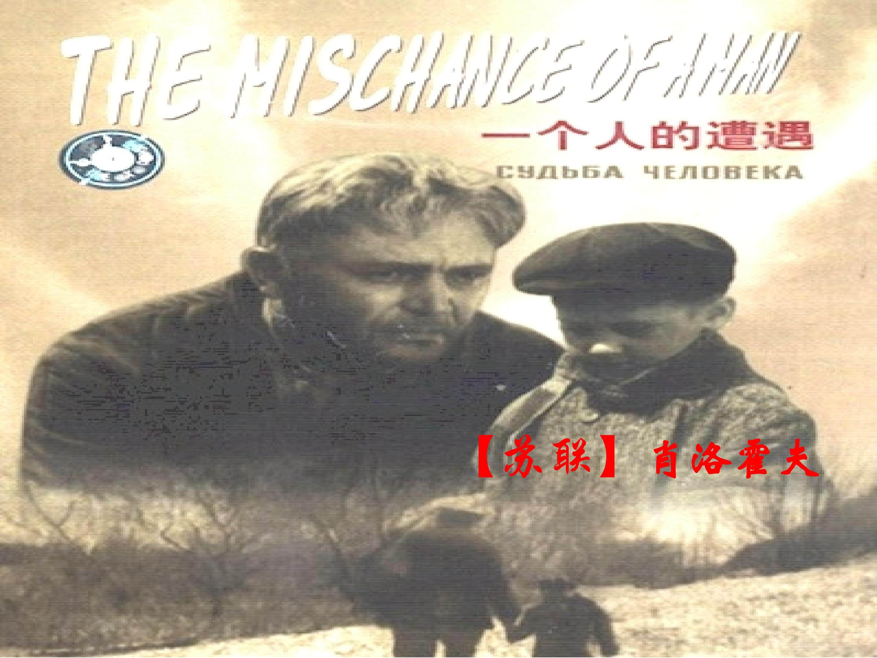 一个人的遭遇（节选）_课件1