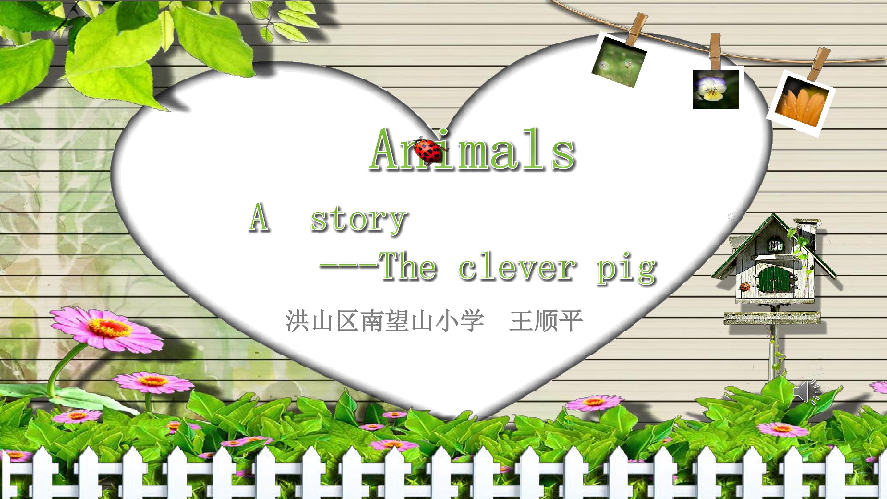 The clever pig 教学课件