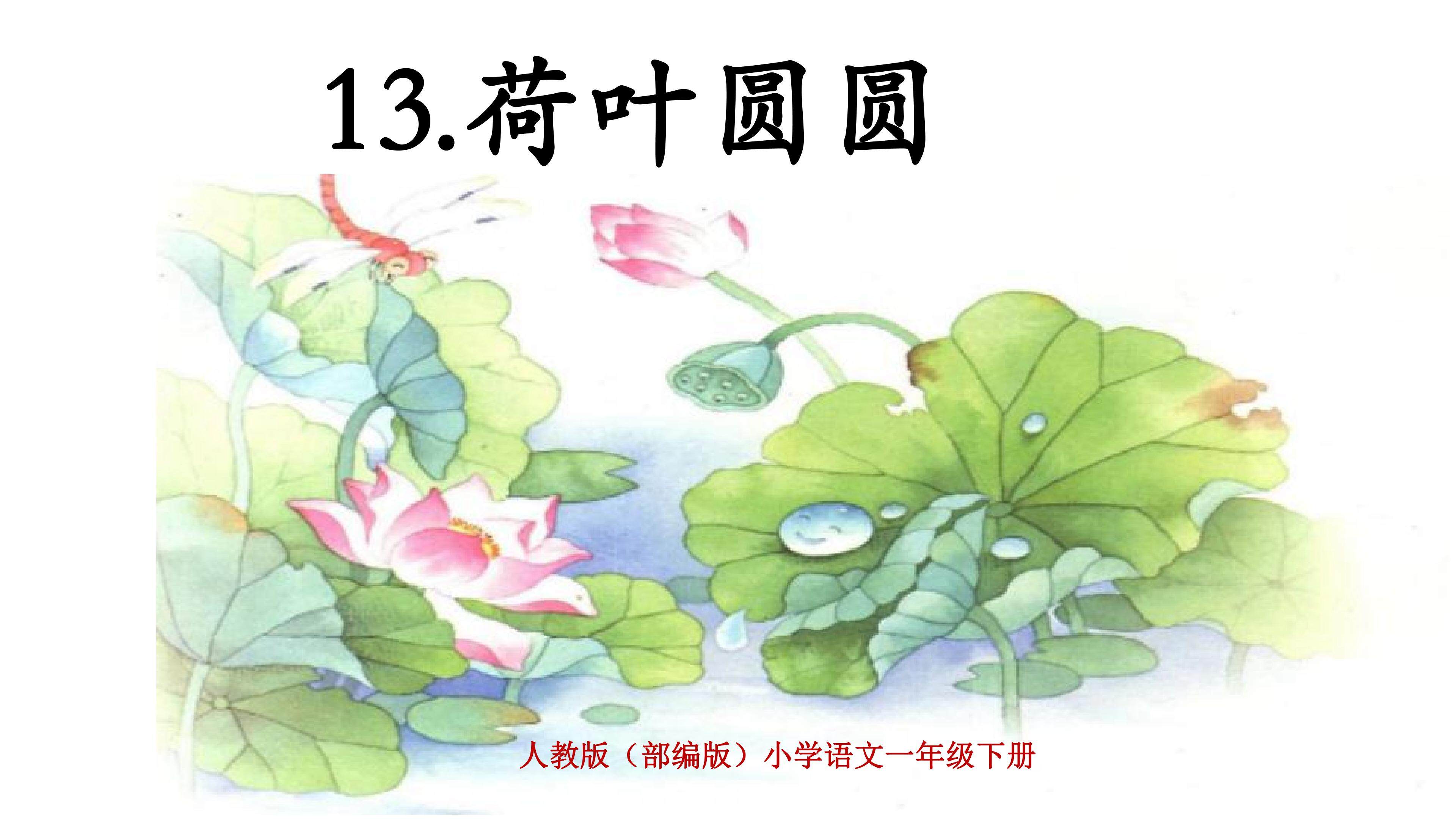 13、《荷叶圆圆》