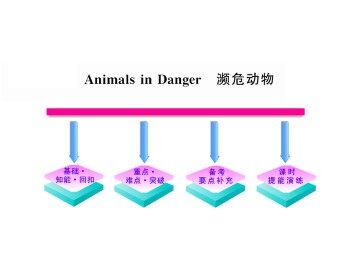 Animals in Danger_课件6