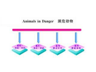 Animals in Danger_课件6