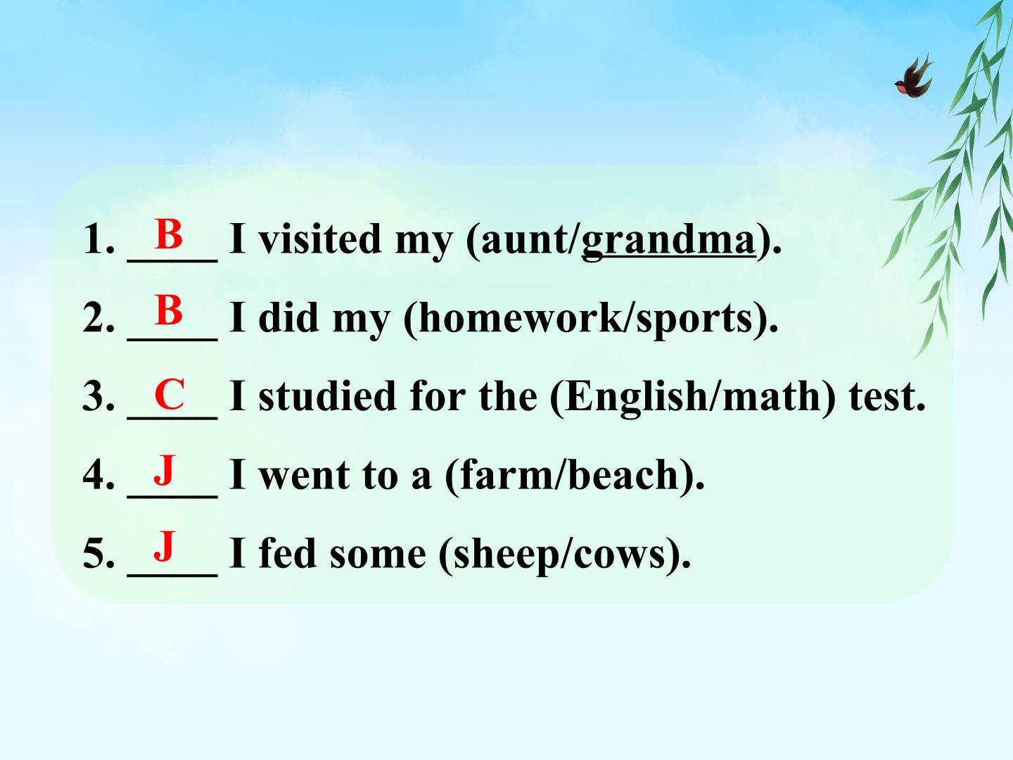 23.jpg