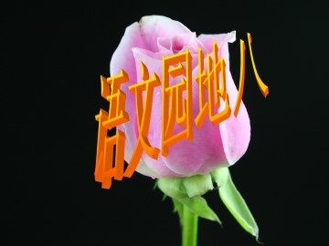 语文园地八_课件1